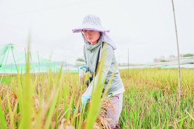 科研经费管理改革这十年：为人才助力，为创新加速