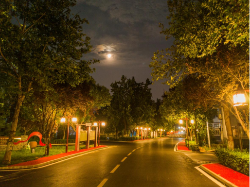 河南新乡:夜色朝阳