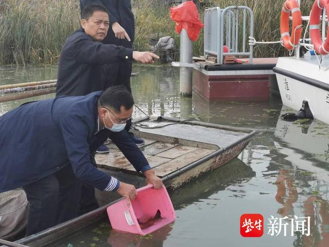鱼摊上有条奇怪的鱼,30元买下,却发现是国家二级保护野生动物