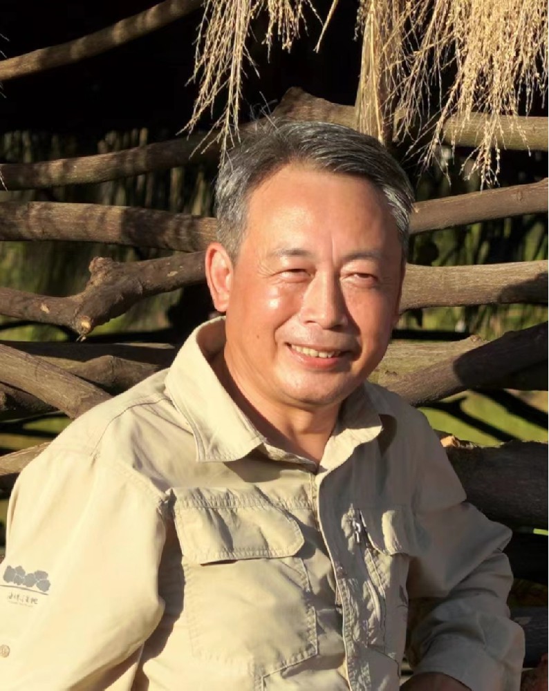 独家专访重庆大学袁兴中:不起眼的沟渠水塘也是湿地!别看面积小,蕴含的潜能巨大!