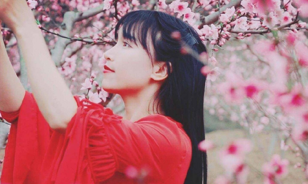 时隔一年多,李子柒与微念官司达成和解,视频更新或许不远了