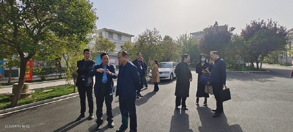 新疆哈密市市委组织部莅临东大阳堤村参观指导
